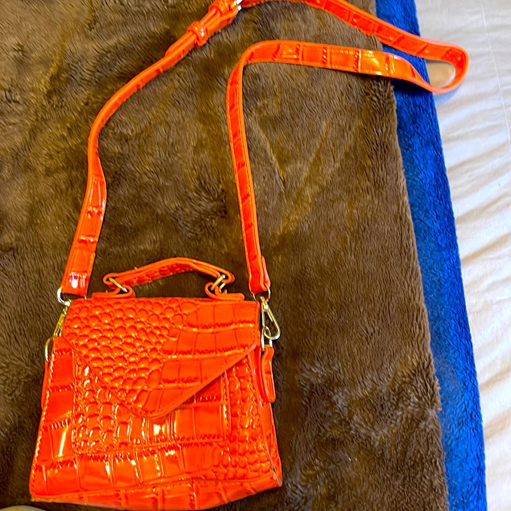 Clutch or Crossbody bag